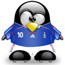 Penguin pingouin pinguino 208